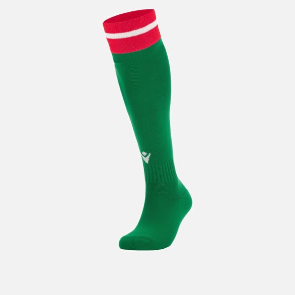 Welsh Rugby 2022/23 away Pathway socks