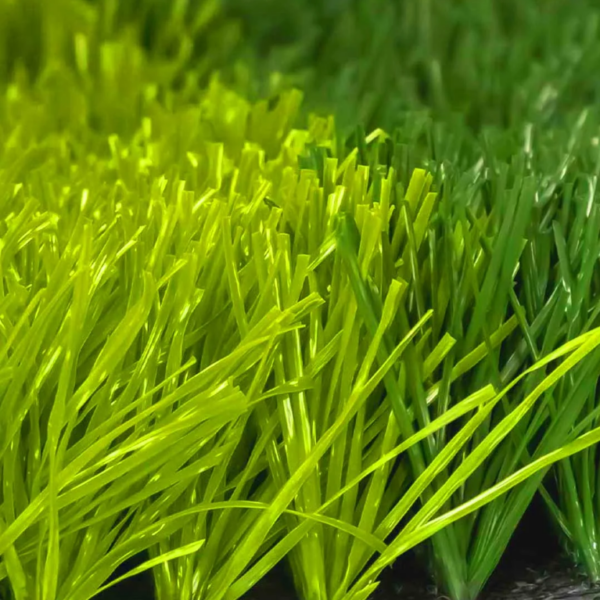 ODIN GRASS - Image 3