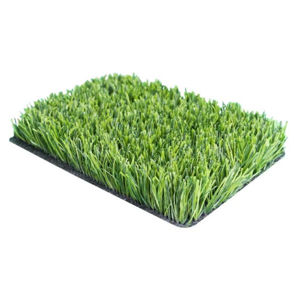 OMEGA GRASS