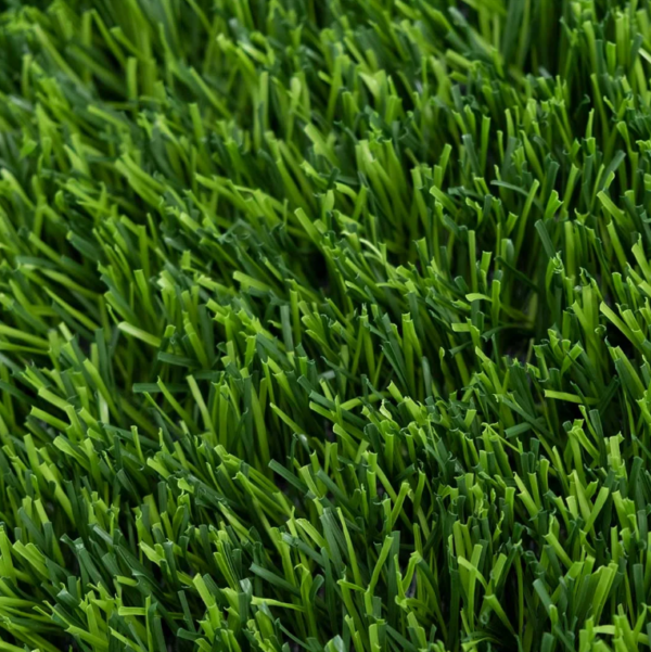 OMEGA GRASS - Image 2