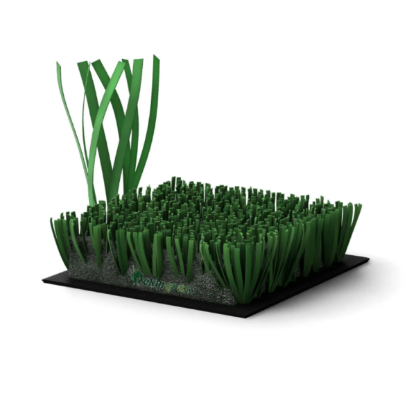 MULTISPORT GRASS - Image 4